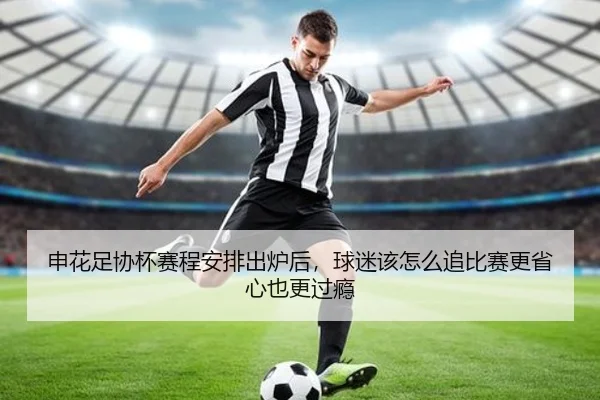 申花足协杯赛程安排出炉后，球迷该怎么追比赛更省心也更过瘾